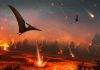 Geologists to drill into heart of dinosaur-killing impact
