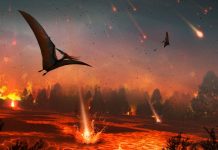 Geologists to drill into heart of dinosaur-killing impact