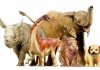 Giant dinosaurs hatched with adult-like proportions