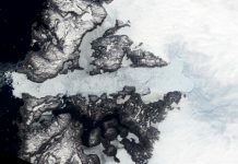 Ice streams can be slowed down by gas hydrates