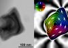 Magnetic vortices defy temperature fluctuations