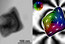 Magnetic vortices defy temperature fluctuations