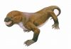 Mammal-like reptile survived much longer than thought