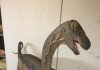 Newly discovered baby Titanosaur sheds light on dinosaurs’ early lives