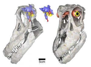 Newly discovered titanosaurian-GeologyPage