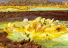 Rainbow-coloured hydrothermal systems show spectrum of extreme life on Earth