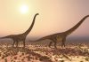 Study shows dinosaur families chose to exit Europe