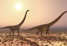 Study shows dinosaur families chose to exit Europe