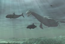 Surviving an asteroid strike that wiped out the dinosaurs