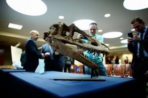 US hands over looted dinosaur-GeologyPage