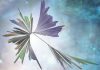 Wealth of unsuspected new microbes expands tree of life
