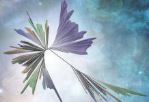 Wealth of unsuspected new microbes expands tree of life