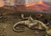 When life returned after a volcanic mass extinction