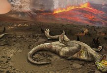 When life returned after a volcanic mass extinction