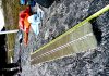 A history of snowfall on Greenland, hidden in ancient leaf waxes