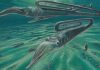 Antarctic fossils reveal creatures weren’t safer in the south