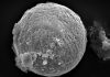 Cosmic dust reveals Earth’s ancient atmosphere