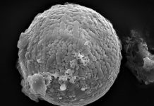 Cosmic dust reveals Earth’s ancient atmosphere