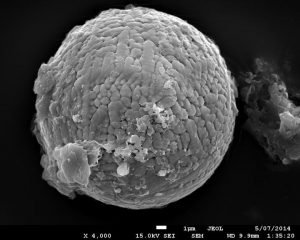 Cosmic dust reveals Earth-GeologyPage