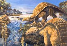 Early armored dinosaur from Texas lacked cousin’s club-tail weapon, but had a nose for danger
