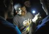 Endangered venomous mammal predates dinosaurs’ extinction, study confirms