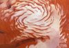 Evidence of ice age at Martian north pole