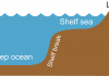 How much does groundwater contribute to sea level rise?