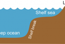 How much does groundwater contribute to sea level rise?