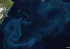 Iron Fertilization Won’t Work in Equatorial Pacific, Study Suggests