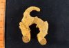 ‘Lepeichnus giberti’, a new trace fossil with exceptional characteristics in the palaeontology world