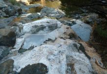Methane-producing microbes in California rocks