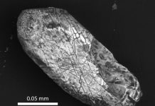 Origin of Earth’s oldest crystals