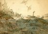 Rapid rise of the Mesozoic sea dragons