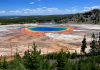 Researchers find that Earth may be home to one trillion species