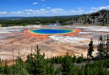 Researchers find that Earth may be home to one trillion species
