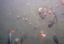 Retreat of the ice followed by millennia of methane release