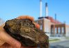 Study finds declining sulfur levels