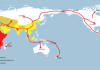 The 2 Million Year Melee: Neanderthals vs. Humans