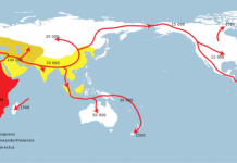 The 2 Million Year Melee: Neanderthals vs. Humans