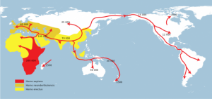 The 2 Million Year Melee-GeologyPage