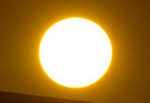 Violent young Sun may have seeded life on Earth: study