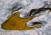 Walking in the Kimberley dinosaur’s footsteps