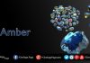 Blue Amber : What is is Blue Amber? How it Formed?