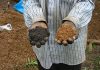 700-year-old West African soil technique could help mitigate climate change