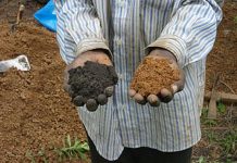700-year-old West African soil technique could help mitigate climate change