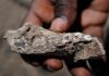 Lucy had neighbors: A review of African fossils