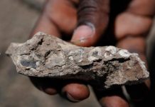 Lucy had neighbors: A review of African fossils