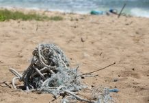 Aerial surveys document ocean debris around Hawaii