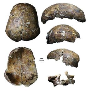 Ancient Deep Skull-GeologyPage