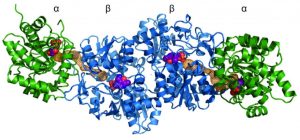 Bacteria perfected protein-GeologyPage